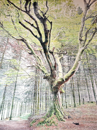 ''Résolution'', 2024, aquarelle, 42x60 cm